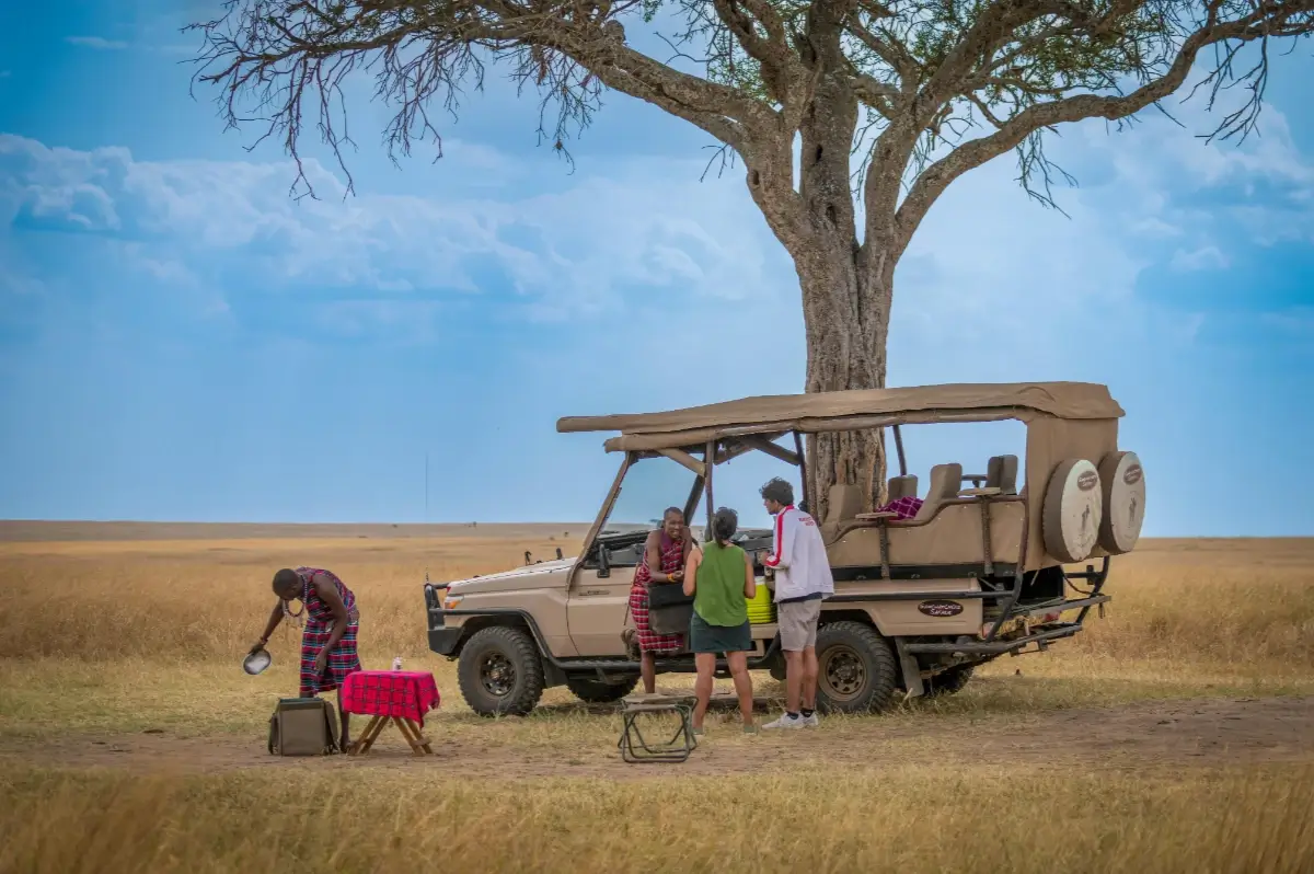Exploring Untamed Africa: Jeep Safari Adventures