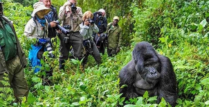 Découvrez l’Afrique : 13 Destinations Extraordinaires pour Tous les Types de Voyageurs