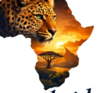 Espaces Irréels Safaris