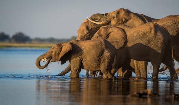 gettyimages-1306743279-612×612