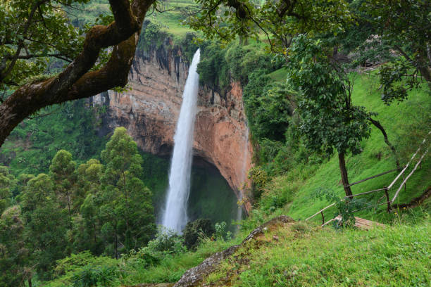 Kenyan Forest et Caves Trail L'Itinéraire Panoramique au Cœur de la Nature Sauvage Découvrez le versant le plus préservé du mont Elgon : forêts ancestrales, grottes volcaniques et panoramas spectaculaires Informations pratiques Durée : 4 jours / 3 nuits Distance : ~22 à 27 km Altitude maximale : Endebess Bluff – ~3 000 m Hébergement : Aturukan Hotel (Kitale) • Camp de montagne à Makingeny Cave Niveau physique : Facile à modéré Acclimatation : Non requise (trek de moyenne altitude sans ascension du sommet) Type de route : Randonnée forestière en boucle à travers le versant kényan du mont Elgon, avec exploration des grottes de Makingeny et Kitum, des escarpements volcaniques et des forêts montagnardes Meilleure période : Décembre à février • Juin à août Aperçu Le Kenyan Forest et Caves Trail révèle le visage le plus sauvage et le plus confidentiel du mont Elgon. Cet itinéraire offre une superbe randonnée à travers des forêts montagnardes préservées, des grottes volcaniques spectaculaires, des forêts de bambous et d'impressionnants escarpements volcaniques. Au départ de Kitale, l'itinéraire pénètre dans le Parc National du Mont Elgon (Kenya) par la porte de Koitoboss. Il constitue le choix idéal pour les voyageurs en quête de tranquillité, d'observation de la faune sauvage et de paysages grandioses, loin des sentiers plus fréquentés du versant ougandais. Plutôt que de viser le sommet, cette aventure met à l'honneur les richesses géologiques et écologiques de la montagne. Les randonneurs empruntent de paisibles sentiers forestiers menant à d'anciennes grottes de lave, notamment la célèbre Makingeny Cave ainsi que l'impressionnante Kitum Cave, mondialement connue pour les éléphants qui s'y aventurent afin d'extraire le sel minéral contenu dans ses parois. Tout au long du parcours, plusieurs belvédères offrent des panoramas exceptionnels sur les gorges de Suam, les collines de Cherangani et la vallée du Grand Rift. Les forêts luxuriantes abritent également une riche faune comprenant des buffles, des guibs, des singes, des éléphants de forêt ainsi que plus de 300 espèces d'oiseaux. Grâce à ses nuits en pleine forêt, à ses nombreuses possibilités d'observation de la faune, de photographie animalière et de randonnées naturalistes, cet itinéraire constitue une véritable immersion dans l'une des régions les plus préservées du Kenya. Accessible à tous les niveaux de marche, il représente une excellente alternative pour les voyageurs souhaitant découvrir le mont Elgon sans entreprendre une expédition en haute altitude. Points forts du trek Découvrir le versant kényan du mont Elgon, préservé et très peu fréquenté. Explorer la célèbre Kitum Cave, où les éléphants viennent extraire naturellement le sel des parois rocheuses. Visiter d'anciennes grottes volcaniques et tunnels de lave, dont Makingeny Cave. Randonner à travers une succession de forêts montagnardes, de forêts de bambous et de landes d'altitude. Admirer de magnifiques panoramas sur les gorges de Suam, les collines de Cherangani et la vallée du Grand Rift. Profiter d'excellentes opportunités d'observation des oiseaux, de la faune sauvage et de photographie. Observer des buffles, des guibs, des singes, des éléphants de forêt, différentes espèces d'antilopes ainsi qu'une remarquable diversité d'oiseaux. Découvrir l'un des parcs nationaux les plus paisibles et les moins fréquentés du Kenya. Vivre une expérience authentique de camping au cœur d'une nature préservée. Un itinéraire idéal pour les familles, les amoureux de la nature, les photographes et les voyageurs recherchant une aventure de montagne non technique. Itinéraire Jour 1 : Arrivée à Kitale À votre arrivée à Kitale, transfert vers l'Aturukan Hotel, l'un des établissements les plus réputés et confortables de la région, ou similaire. Niché au cœur de jardins soigneusement aménagés, l'hôtel offre un cadre paisible, idéal pour se détendre avant le début de votre aventure au mont Elgon. Dans l'après-midi, retrouvez votre guide de montagne pour un briefing complet sur l'expédition, une vérification de votre équipement ainsi qu'une présentation détaillée de l'itinéraire. Le reste de la journée est libre afin de vous reposer et de profiter du climat agréable des hauts plateaux de l'ouest du Kenya. Dîner et nuit à l'hôtel. Jour 2 : Koitoboss Gate – Makingeny Cave Camp Après un petit-déjeuner matinal, transfert vers Koitoboss Gate, principale porte d'entrée du Parc National du Mont Elgon (Kenya), où débute votre randonnée. Le sentier serpente à travers une magnifique forêt montagnarde composée d'arbres indigènes centenaires et de forêts de bambous, riches en oiseaux et en faune sauvage. Gardez l'œil ouvert pour observer les élégants colobes noirs et blancs, les guibs ainsi que de nombreuses espèces d'oiseaux forestiers tandis que le chemin s'élève progressivement vers le cœur de la montagne. En fin d'après-midi, arrivée à Makingeny Cave Camp, une impressionnante grotte volcanique nichée au milieu de la forêt. Profitez du temps libre pour explorer les environs avant de passer une nuit inoubliable dans ce cadre naturel exceptionnel. Dîner et nuit au camp. Distance : environ 10 à 12 km | Temps de marche : 4 à 6 heures | Difficulté : modérée Jour 3 : Makingeny Cave – Kitum Cave – Endebess Bluff Après le petit-déjeuner, poursuivez votre exploration au cœur du parc jusqu'à la légendaire Kitum Cave, l'un des sites géologiques les plus emblématiques du mont Elgon. Réputée pour ses parois riches en minéraux, cette immense grotte attire régulièrement des éléphants ainsi que d'autres animaux sauvages qui viennent y extraire naturellement le sel indispensable à leur alimentation. La randonnée se poursuit ensuite jusqu'au spectaculaire Endebess Bluff, un magnifique belvédère dominant les gorges de Suam, les collines de Cherangani et la vallée du Grand Rift. Tout au long de cette journée, les occasions d'observer les oiseaux, de photographier les paysages et de découvrir la remarquable biodiversité du mont Elgon sont nombreuses. En fin de journée, retour à Makingeny Cave Camp. Dîner et nuit. Distance : environ 12 à 15 km | Temps de marche : 5 à 6 heures | Difficulté : modérée Jour 4 : Randonnée naturaliste en forêt – Départ Après le petit-déjeuner, profitez d'une dernière promenade au cœur de la forêt primaire du mont Elgon afin d'apprécier une dernière fois la richesse de sa flore, de sa faune et de ses paysages. Vous redescendez ensuite tranquillement vers Koitoboss Gate, où votre randonnée prend fin. Transfert vers Kitale, ou poursuivez votre voyage grâce à l'une de nos extensions sur mesure, comprenant notamment des safaris dans l'ouest du Kenya, dans la réserve nationale du Masaï Mara, ou encore une découverte de l'Ouganda voisin. Fin de nos services. Le prix comprend : L'hébergement tel que prévu au programme. La pension complète pendant toute la durée du trekking (petit-déjeuner, déjeuner et dîner). Les transferts privés par la route entre Kitale et le Parc National du Mont Elgon (Kenya). Les services d'un guide de montagne professionnel anglophone. L'accompagnement d'un ranger expérimenté du parc pendant toute la randonnée. Les droits d'entrée au Parc National du Mont Elgon. Les frais de camping ainsi que l'hébergement dans les camps de montagne. Le matériel de camping, comprenant une tente, un matelas de sol et les installations communes du camp. Les services de porteurs pour le transport du matériel de camping et des bagages communs. De l'eau potable traitée tout au long du trek. Les visites guidées de Makingeny Cave, Kitum Cave et Endebess Bluff. Une assistance en cas d'évacuation d'urgence pendant le séjour dans le parc national. Un briefing complet avant le départ ainsi qu'une vérification de l'équipement. Le prix ne comprend pas : Les vols internationaux à destination et au départ de Nairobi. Les vols domestiques. Les frais de visa pour le Kenya (le cas échéant). Les transferts aéroport vers et depuis Kitale. Les nuitées avant ou après le programme de trekking, sauf indication contraire. L'équipement personnel de randonnée (chaussures de trekking, bâtons de marche, sac de couchage, vêtements imperméables, etc.). Les activités et excursions optionnelles non mentionnées dans l'itinéraire. Les boissons alcoolisées, les boissons non alcoolisées et les boissons en bouteille. Les dépenses personnelles (blanchisserie, téléphone, accès à Internet, souvenirs, etc.). Les pourboires destinés aux guides, rangers, porteurs et chauffeurs. Une assurance voyage complète, incluant les frais médicaux, les activités de trekking ainsi que l'évacuation d'urgence (obligatoire pour tous les programmes de trekking). Prolongez votre aventure (sur demande) Chaque voyage Espaces Irréels peut être personnalisé selon vos envies. Ajoutez une parenthèse balnéaire, une nouvelle expérience animalière, un trek ou une découverte culturelle pour créer un itinéraire entièrement sur mesure. Quelques idées d’extensions : Séjour balnéaire Après votre safari, détendez-vous sur les plages de Lamu, Mombasa, Zanzibar, Seychelles, Maurice, Réunion ou Madagascar. Nouvelle expérience safari Poursuivez votre découverte de la faune africaine au Kenya, en Tanzanie, en Ouganda, au Rwanda, au Botswana, en Namibie ou à Victoria Falls. Trek et montagnes Ajoutez une aventure sur les hauts sommets et paysages volcaniques du continent : Kenya, Tanzanie, Ouganda, Rwanda, Éthiopie ou Madagascar. Culture et découverte Explorez les traditions, l’histoire et les paysages uniques de destinations comme l’Éthiopie, Madagascar ou l’Égypte. Les extensions sont proposées sur demande et ne sont pas incluses dans le prix initial du voyage. Contactez-nous pour créer votre itinéraire personnalisé. Pourquoi choisir cet itinéraire ? Alors que les itinéraires du versant ougandais sont principalement conçus pour atteindre le sommet du mont Elgon, le Kenyan Forest & Caves Trail offre une expérience différente, où le voyage lui-même constitue la véritable récompense. Entre forêts primaires, anciennes grottes volcaniques, falaises spectaculaires, panoramas grandioses et abondante faune sauvage, cet itinéraire permet de découvrir les écosystèmes les plus préservés du mont Elgon dans une atmosphère de calme absolu. Pour les voyageurs passionnés de nature, de photographie, d'ornithologie ou simplement à la recherche d'une randonnée loin des foules, il constitue une introduction exceptionnelle au mont Elgon, sans les exigences physiques d'une ascension en haute altitude. Pourquoi choisir le mont Elgon ? Le mont Elgon offre une expérience de montagne unique, où se mêlent paysages spectaculaires, nature préservée et richesse culturelle. Des sentiers paisibles Découvrez l'une des destinations de trekking en altitude les moins fréquentées d'Afrique de l'Est et profitez d'une immersion totale dans la nature. Une biodiversité exceptionnelle Traversez une étonnante succession d'écosystèmes, depuis les forêts tropicales luxuriantes jusqu'aux landes afro-alpines, au cours d'une même expédition. Un patrimoine géologique remarquable Explorez la plus grande caldeira volcanique intacte au monde, d'impressionnantes falaises, d'anciennes grottes volcaniques et des formations géologiques uniques. Des rencontres culturelles authentiques Partez à la rencontre des communautés Bagisu et Sabiny, découvrez leurs traditions ancestrales, leur agriculture et leur mode de vie. Un excellent rapport qualité-prix Grâce à des droits d'entrée plus abordables et à une logistique moins coûteuse que sur d'autres grands sommets africains, le mont Elgon constitue l'une des meilleures aventures de montagne d'Afrique de l'Est. Un paradis pour les photographes Immortalisez d'impressionnants paysages volcaniques, une flore alpine exceptionnelle, une faune abondante, des cascades spectaculaires et des scènes authentiques de la vie locale. Conclusion Le mont Elgon demeure l'un des trésors les mieux préservés du trekking africain. Entre paysages volcaniques spectaculaires, biodiversité exceptionnelle, rencontres culturelles authentiques et sentiers paisibles, il constitue une alternative remarquable aux sommets les plus célèbres du continent. Grâce à ses itinéraires non techniques, à son ascension progressive et à des programmes adaptés à tous les niveaux de randonneurs, le mont Elgon est une destination idéale pour tous ceux qui souhaitent vivre une véritable aventure en montagne, loin des foules. Que vous choisissiez le Sasa Trail, le Sipi Trail, le Piswa Trail ou les sentiers forestiers du versant kényan, chaque itinéraire révèle une facette différente de cette montagne fascinante et offre une expérience inoubliable au cœur de l'Afrique de l'Est.