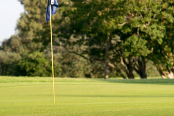 Expérience Golf à Nairobi - Jouez sur les Plus Beaux Parcours de Golf de Championnat du Kenya