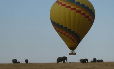 Quand Visiter l’Afrique ? Le Guide Complet Mois par Mois pour Planifier le Voyage Idéal