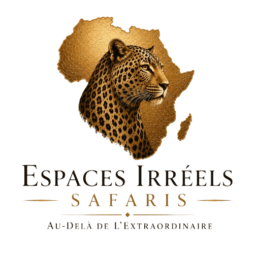 Espaces Irréels Safaris