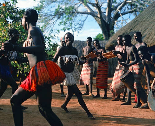 La Forêt Sacrée de Kaya Kinondo et le Bora Bora Wildlife Park - Quand les Traditions Ancestrales Rencontrent la Faune Sauvage
