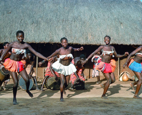 La Forêt Sacrée de Kaya Kinondo et le Bora Bora Wildlife Park - Quand les Traditions Ancestrales Rencontrent la Faune Sauvage