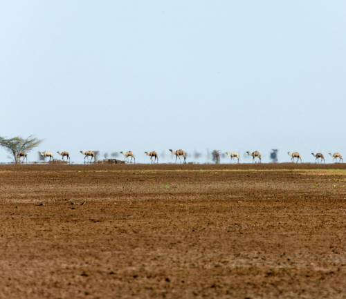 Marsabit