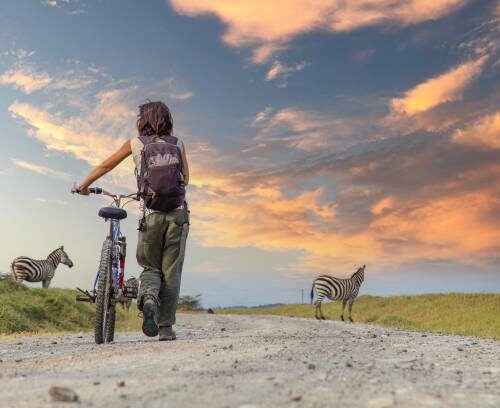 Safaris à Vélo