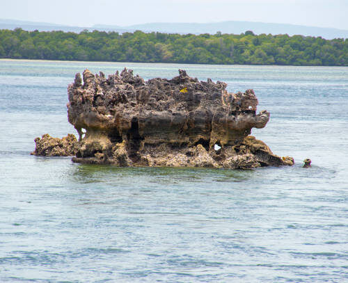 Expérience du Village de Siyu de son Fort