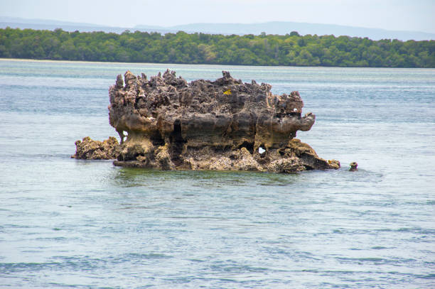 Expérience du Village de Siyu de son Fort