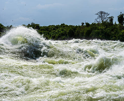 Safari Transfrontalier Ouganda–Kenya - De la Source du Nil aux Plaines du Mara, Un Voyage Transfrontalier au Cœur de l’Afrique de l’Est