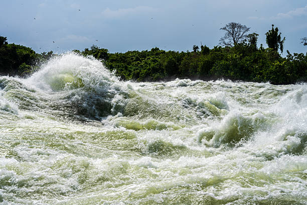 Safari Transfrontalier Ouganda–Kenya - De la Source du Nil aux Plaines du Mara, Un Voyage Transfrontalier au Cœur de l’Afrique de l’Est