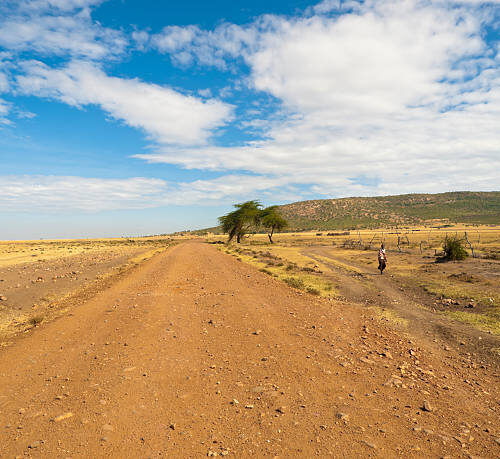 Sur les Pistes du Lac Magadi