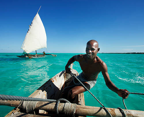 Safari d'Observation de la Faune Marine - Découvrez l'Extraordinaire Faune Marine de la Côte Nord du Kenya