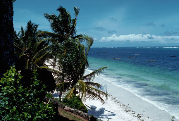 Escapade à la Plage de Shela et aux Dunes de Sable - Détendez-vous sur l'un des plus beaux littoraux préservés d'Afrique