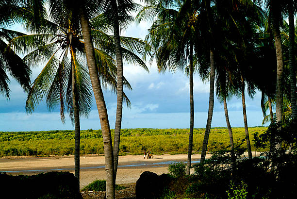 Ville de Lamu
