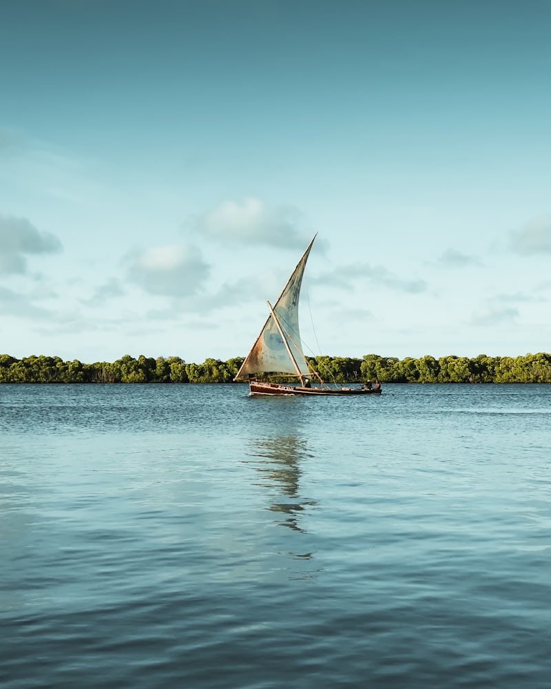 Dhow au Coucher du Soleil