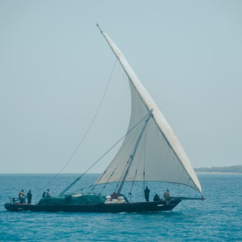 Pêche au Gros à Lamu