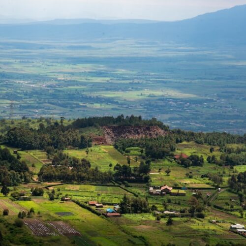 Grand Safari d’Afrique de l’Est - De la vallée du Grand Rift à l’océan Indien, Un voyage à travers le Kenya et la Tanzanie