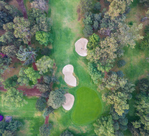 Golf, Safari et Détente à Diani